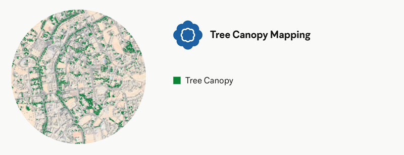 Tree-Canopy